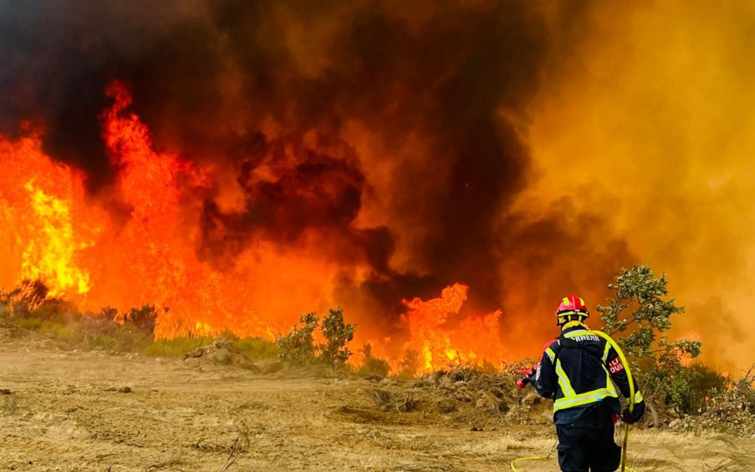 La Plataforma ‘Tierras quemadas’ se reúne con geólogos de la ULE para fijar las primeras actuaciones tras los incendios