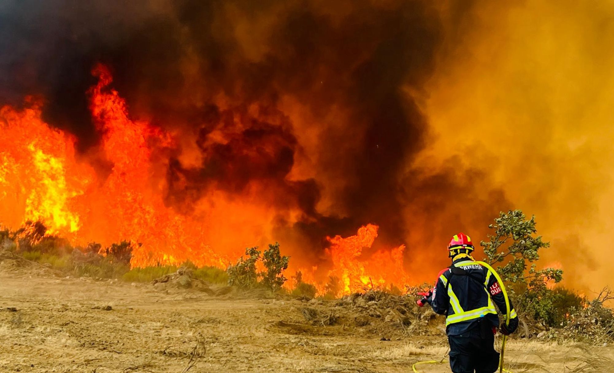 UPL exige a la Junta mayor implicación para la prevención de incendios forestales