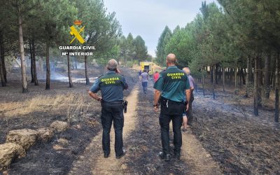 La Diputación remite a la Junta el inventario de daños en 49 municipios de la provincia por los incendios