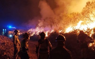 El PSOE denuncia la exclusión de agricultores y ganaderos afectados por los incendios a las ayudas autonómicas