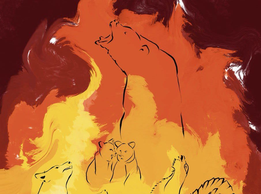 La plataforma ciudadana ‘Stop Incendios Noroeste Peninsular’ declaran el Día de Luto Forestal el próximo 8 de Septiembre