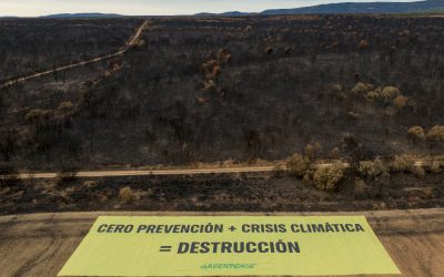 Greenpeace elige Palacios de Jamuz para reivindicar que el 2025 sea un punto de inflexión ante los incendios