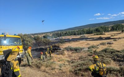 ASAJA manifiesta su satisfacción con las ayudas del Gobierno a los agricultores y ganaderos afectados por los incendios de este verano