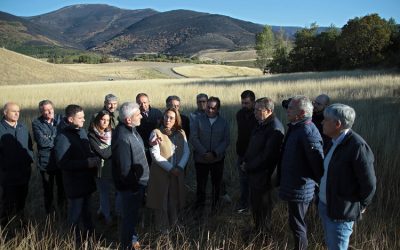 El Gobierno de España abonará antes de final de año las ayudas a agricultores y ganaderos afectados por los incendios