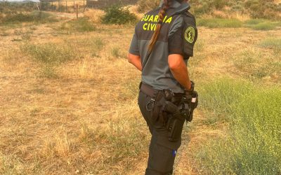 Investigado el presunto autor del incendio forestal de Toral de Fondo