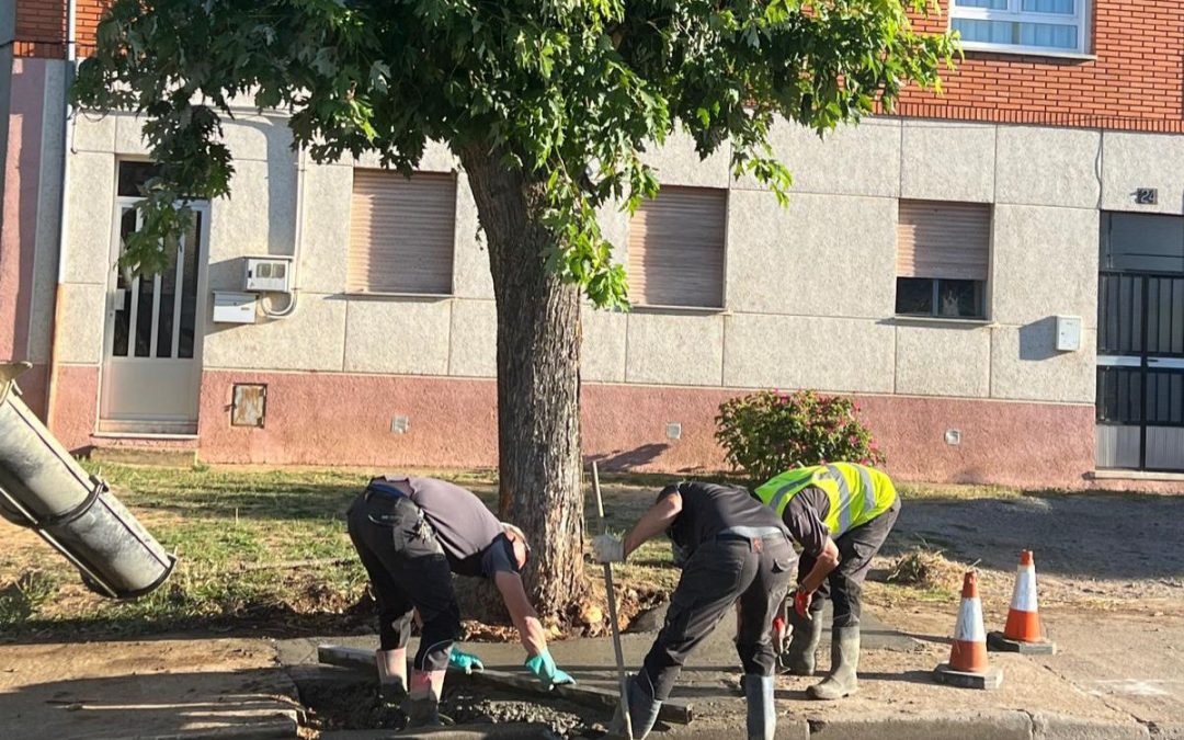 Astorga repara su tramo del Camino de Santiago a su paso por la localidad