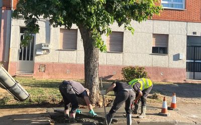 Astorga repara su tramo del Camino de Santiago a su paso por la localidad