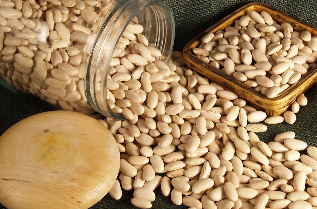 La producción de la alubia leonesa ha aumentado en más de un 50% respecto a la pasada campaña