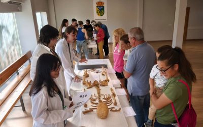 Llamas de la Ribera y Zotes del Páramo entre los participantes en la II Caravana Biometac de la ULE