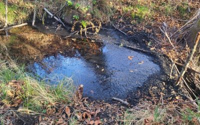 La CHD no aprecia una alteración general, homogénea y duradera de las aguas subterráneas de León tras los incendios de 2025