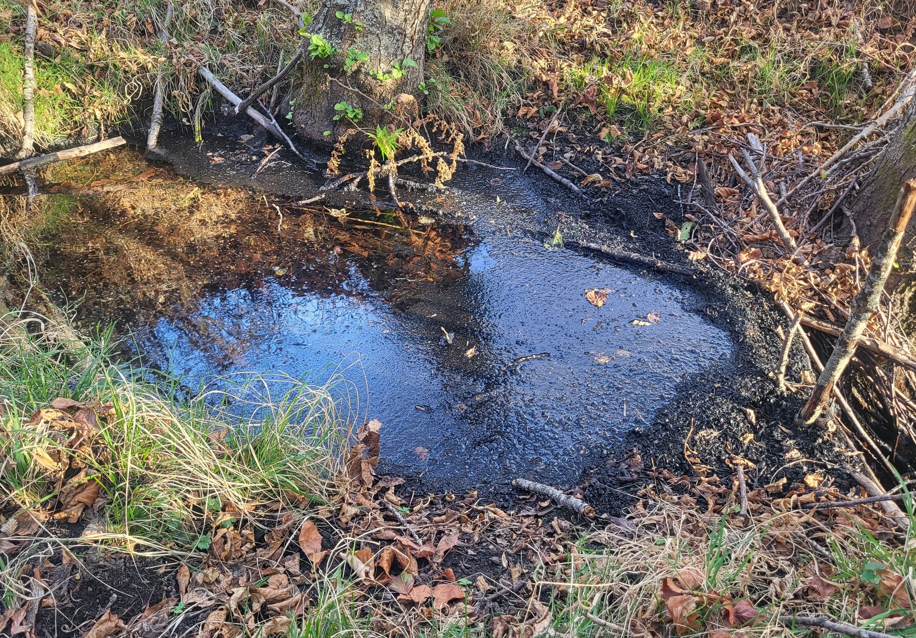 La CHD no aprecia una alteración general, homogénea y duradera de las aguas subterráneas de León tras los incendios de 2025