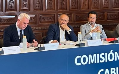 El presidente de la Diputación defiende ante la FEMP una legislación propia que atienda a las características específicas de los pequeños municipios