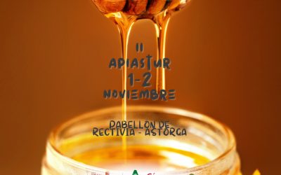 Programa Local Cope Astorga 31 de Octubre 2025