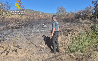 La Guardia Civil investiga a un vecino de Astorga como presunto autor del incendio de Carballedo (Lugo)