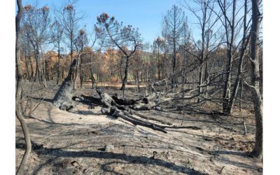 La Asociación Tierras Quemadas organiza este sábado una facendera para proteger el río Eria