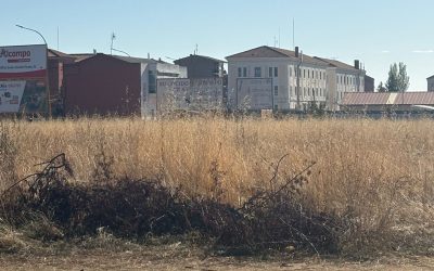 El ayuntamiento destina 28.900 euros a la cuarta fase del proyecto “Paseo de Peñicas”