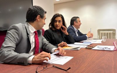 Alicia Gallego encabezará la lista de UPL a las elecciones autonómicas de 2026
