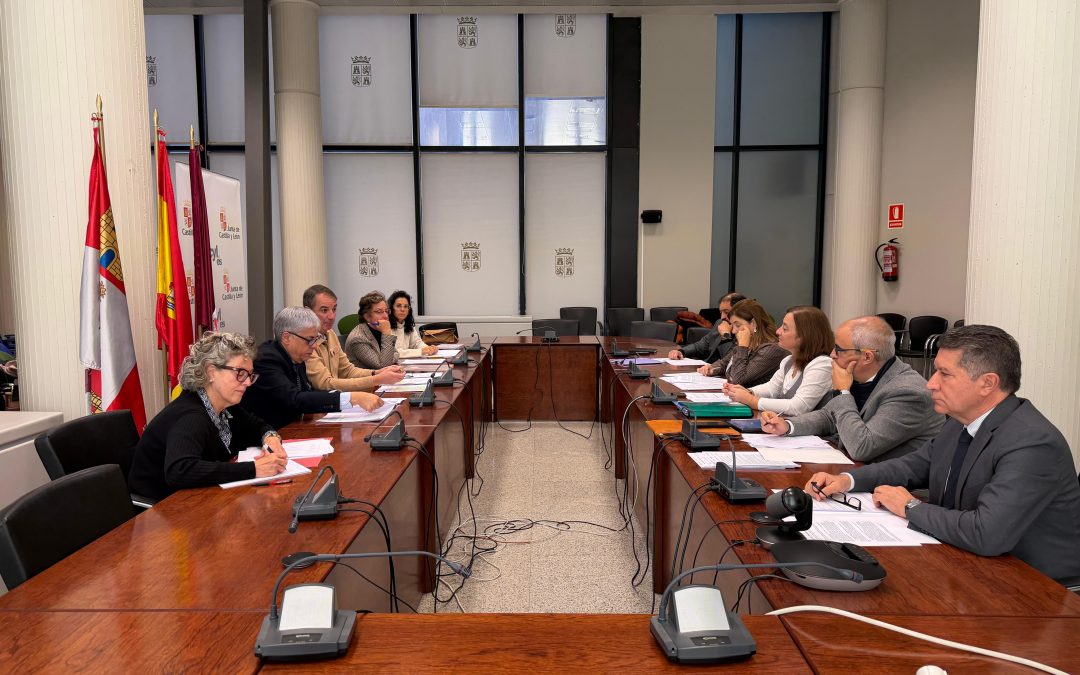 El Servicio de Atención Temprana de León ha atendido a 625 menores en la provincia de León en 2025