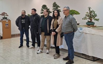 El Centro Cultural de las Tierras Bañezanas acoge la II Exposición de Bonsáis Ciudad de La Bañeza