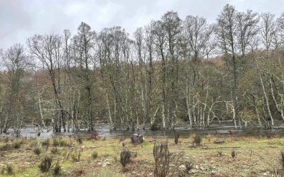 La CHD emite 55 avisos por riesgo de inundación, entre ellos, los ríos Duerna y Eria