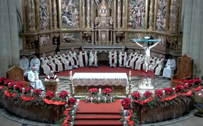 Javier Gay: “El Jubileo de la Esperanza ha tocado nuestras vidas y nuestro ser”