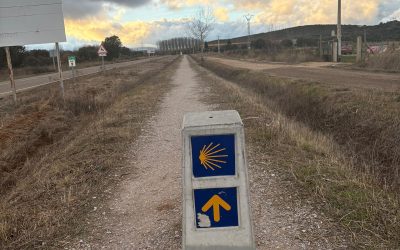 Las brigadas municipales acometen por primera vez las labores de limpieza y desbroce del Camino de Santiago en el tramo del término municipal en otoño