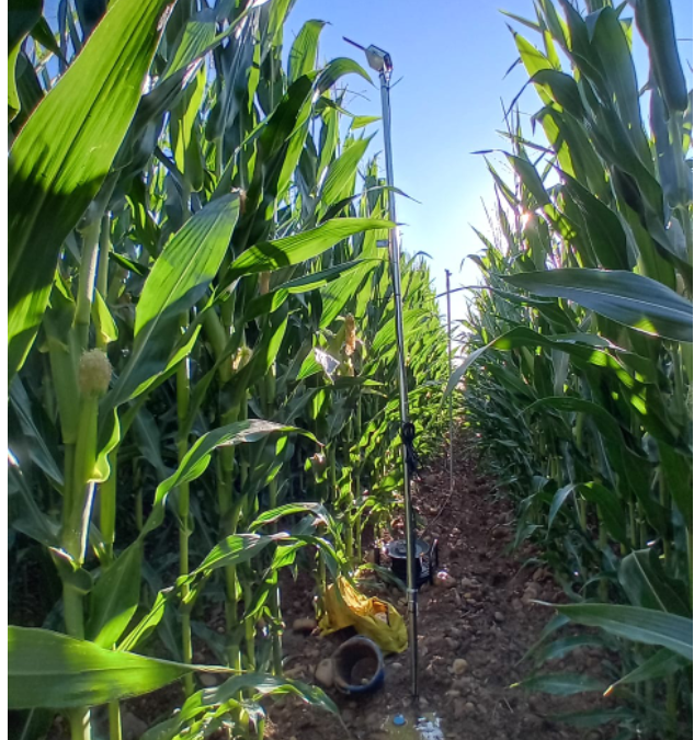 La Comunidad de Regantes del Canal del Páramo ya cuenta con las primeras soluciones digitales de ahorro de agua y energía financiadas por los PERTE