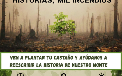 SOS Wildfire plantará castaños este domingo en Felechares de la Valdería (León) para repoblar zonas quemadas
