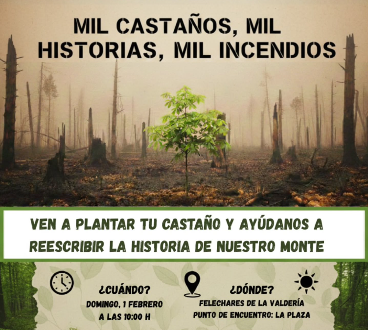 SOS Wildfire plantará castaños este domingo en Felechares de la Valdería (León) para repoblar zonas quemadas