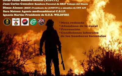 Bomberos y técnicos participan en una jornada sobre incendios forestales en La Bañeza