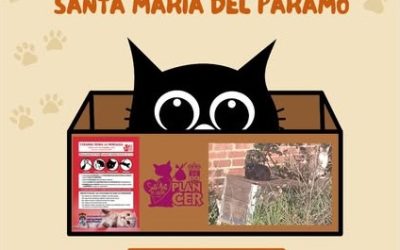 Santa María del Páramo convoca reunión sobre el Plan CER de Gestión Ética de Colonias de Gatos
