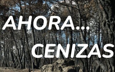 El Palacio de Gaviria de León acoge desde el próximo miércoles la exposición ‘Ahora…cenizas’