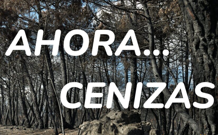 El Palacio de Gaviria de León acoge desde el próximo miércoles la exposición ‘Ahora…cenizas’