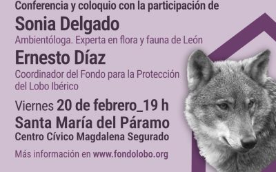 Santa María del Páramo acoge la conferencia y coloquio “El lobo en León”