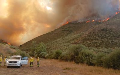 La Junta mantiene su compromiso de convertir el cien por cien del operativo contra incendios en público en tres años