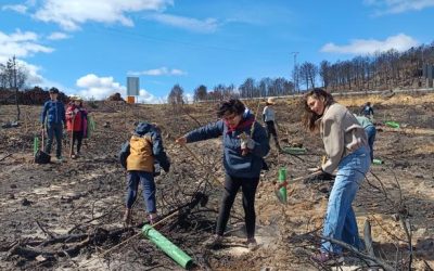 350 voluntarios y más de mil árboles en seis meses reconstruyendo el paisaje del Eria