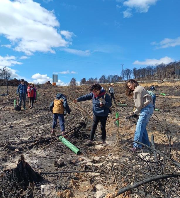 350 voluntarios y más de mil árboles en seis meses reconstruyendo el paisaje del Eria