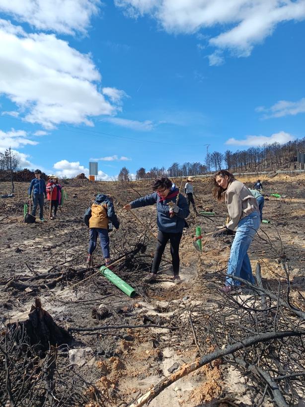 350 voluntarios y más de mil árboles en seis meses reconstruyendo el paisaje del Eria