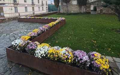 El ayuntamiento de Astorga adjudica a TECLY el suministro de flores para espacios públicos