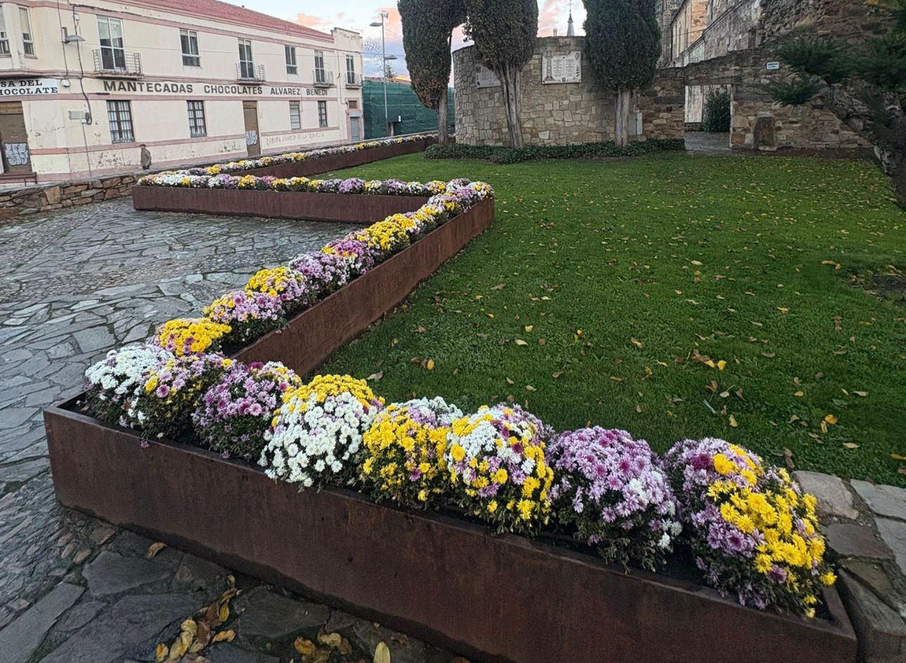 El ayuntamiento de Astorga adjudica a TECLY el suministro de flores para espacios públicos