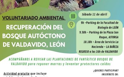 Voluntariado ambiental para recuperar el bosque autóctono de Valdavido