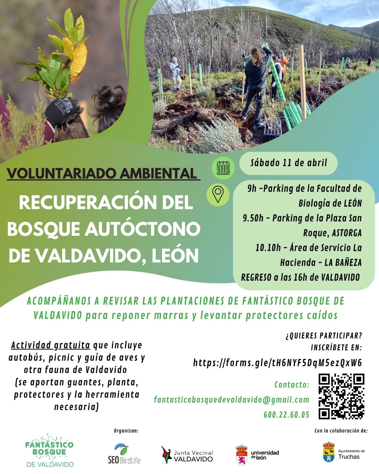 Voluntariado ambiental para recuperar el bosque autóctono de Valdavido