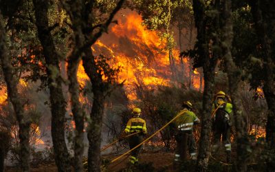 Los incendiarios no se detienen: el 80% de la superficie calcinada en 2026 se asocia a fuegos intencionados