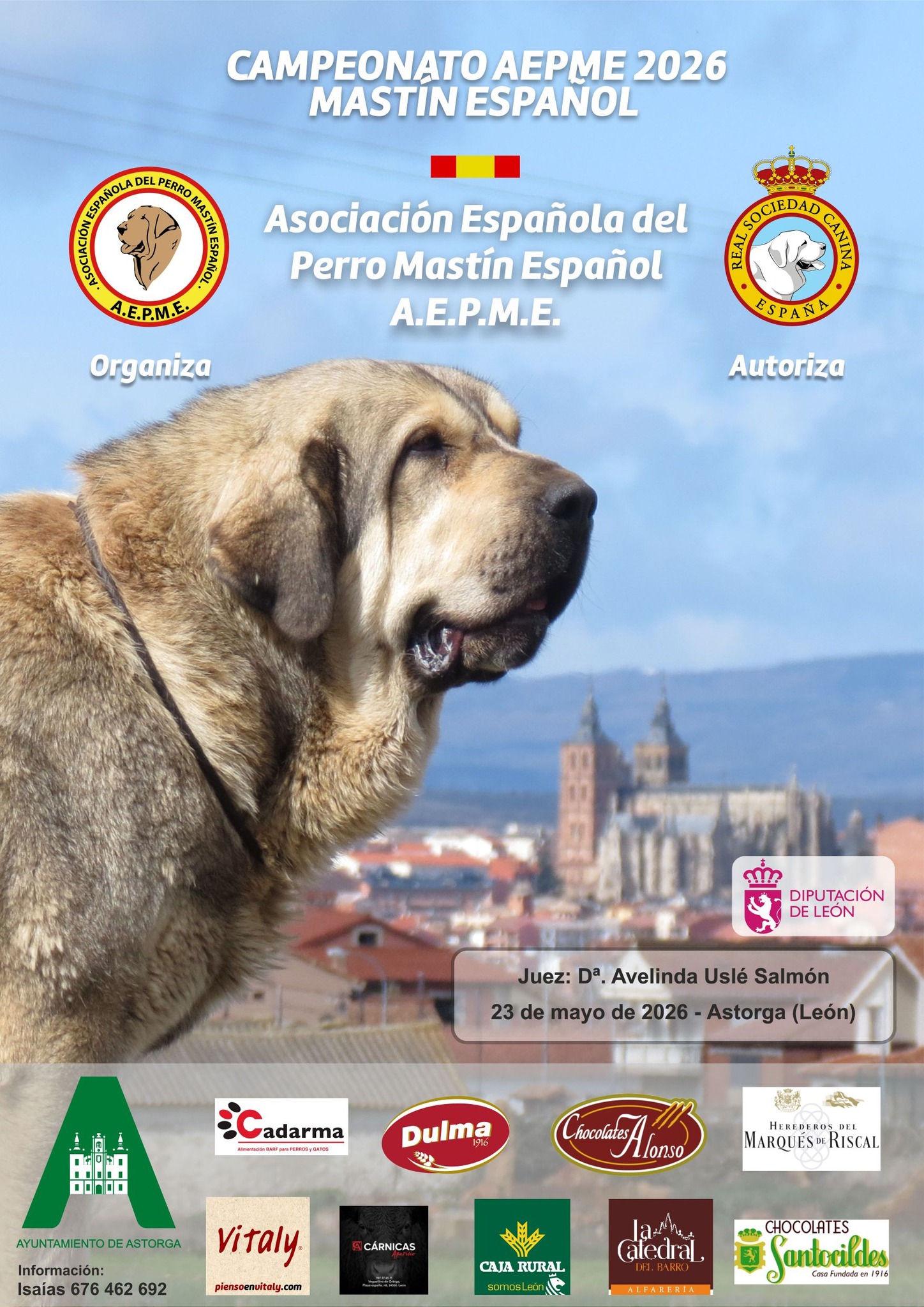 Astorga acoge el 23 de mayo una prueba del campeonato nacional del mastín español en el parque del Melgar