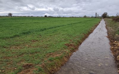 La Asociación en Defensa del Riego de Huertos y del Patrimonio Hídrico de Hospital de Órbigo explica sus planteamientos en una charla