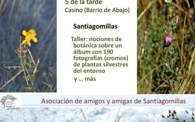 Taller de plantas silvestres en flor de Maragatería con álbum y 190 cromos