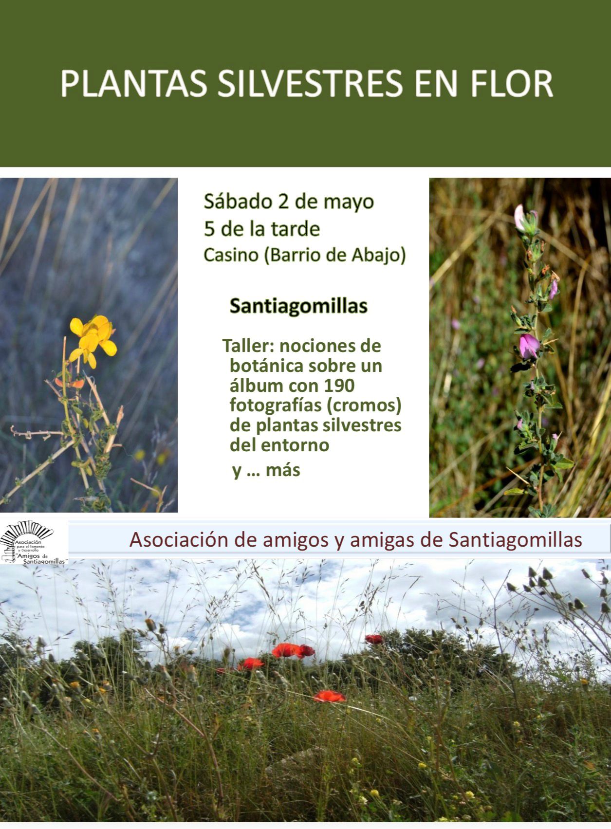 Taller de plantas silvestres en flor de Maragatería con álbum y 190 cromos