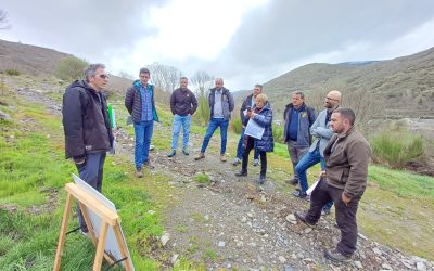 Las actuaciones del Gobierno de España en la restauración de zonas afectadas por incendios en la provincia de León suman 9,8 millones de euros