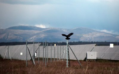 Axpo inaugura en León un complejo solar de 200 Mwp con más de 365.000 paneles