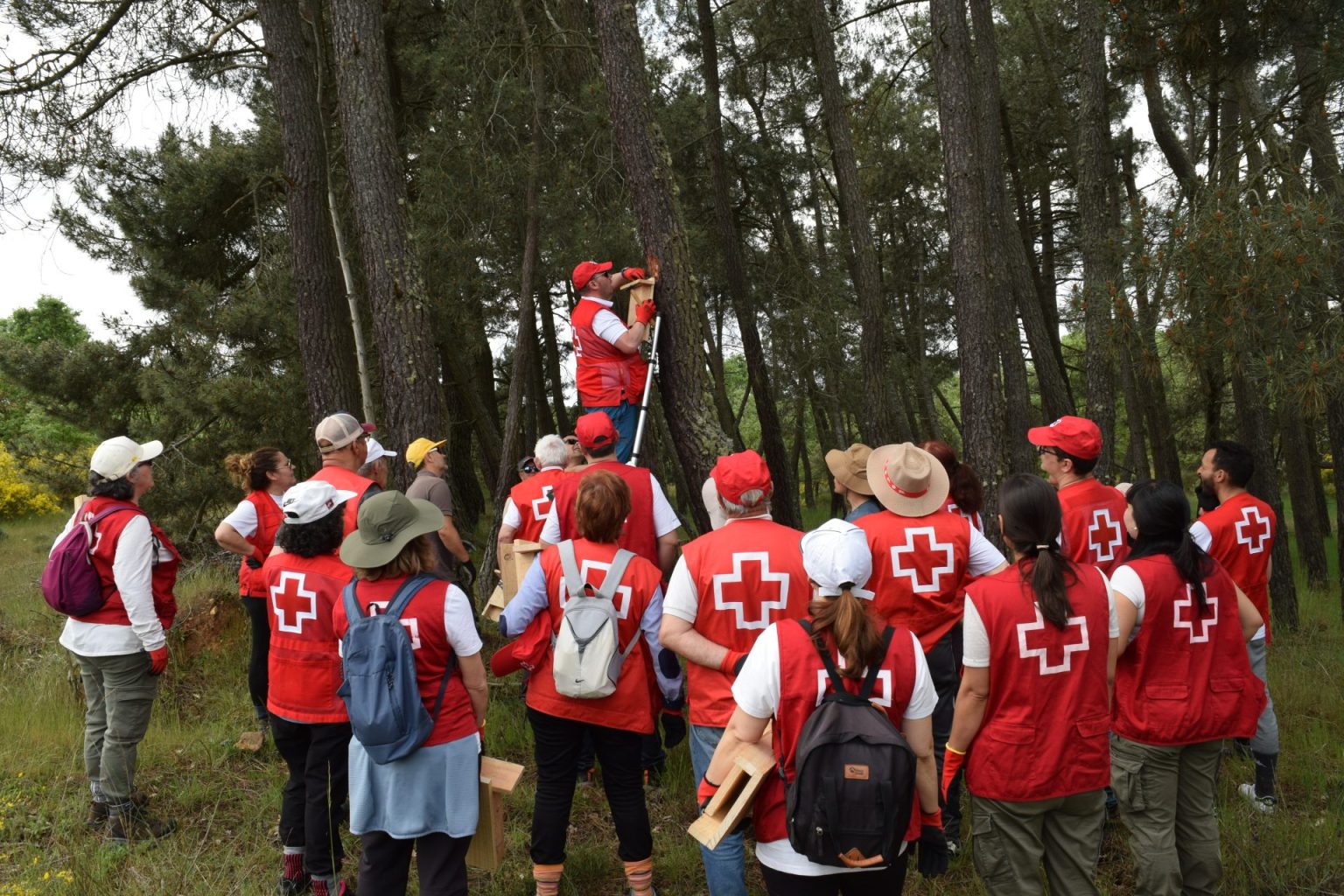 Cruz Roja impulsa la restauración ambiental y la creación de refugios para la biodiversidad en Magaz de Cepeda
